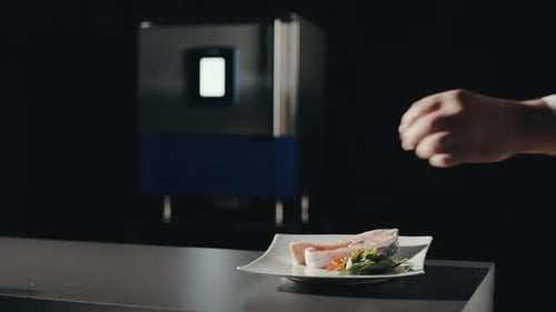 Chef Garnish Gourmet Fish Dish with Berry, Finishing Touch in Restaurant Kitchen