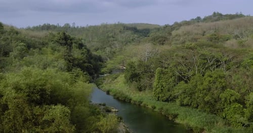 Aerial drone view following tropical river through dense green rainforest