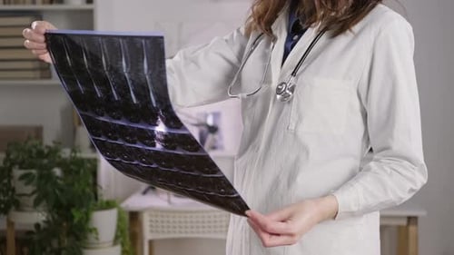 Female Doctor Examining X-Ray in Office