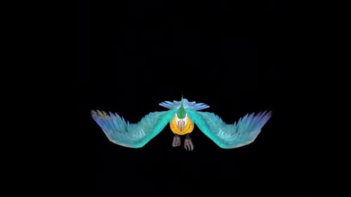 Realistic Flying Macaw Bird Animation Loop