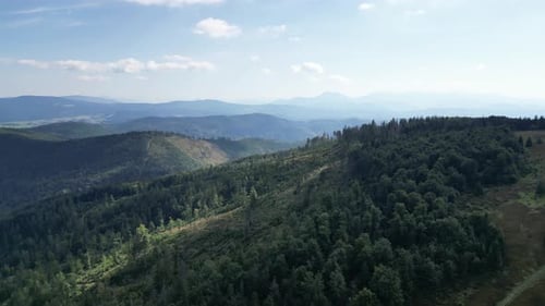 Mountain landscape during a summer day with mountains peaks, forest, lush greenery and trees.