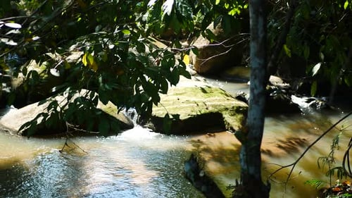 rocky river in natural forest