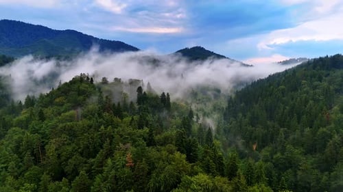 Fog moving over green Carpathian mountains, Romania.