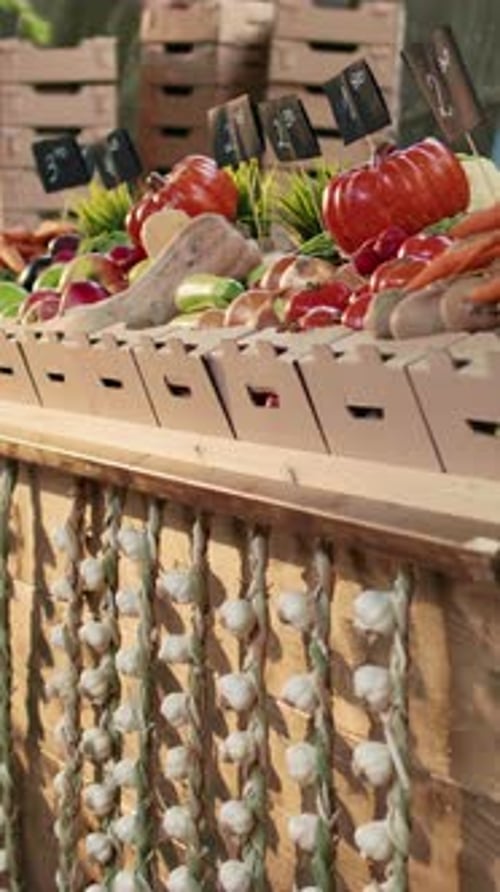 Vertical Video Locally Grown Farming Products at Empty Farmers Market Stand