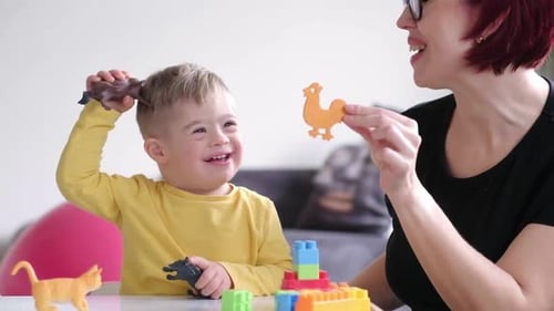 Child Playing With Toys With Woman Indoors