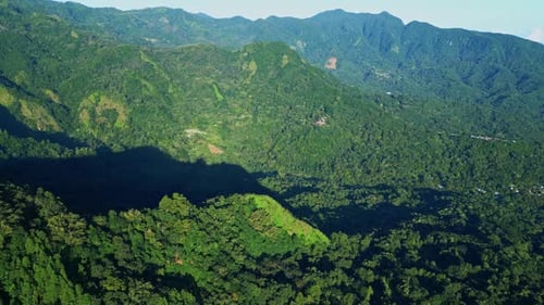 Aerial View on Forest Nature and Green Wood Trees in Landscape of Mountain Hills