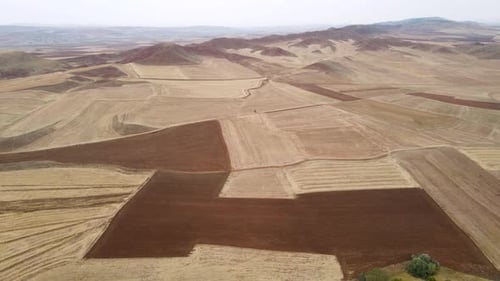 Large Farmlands