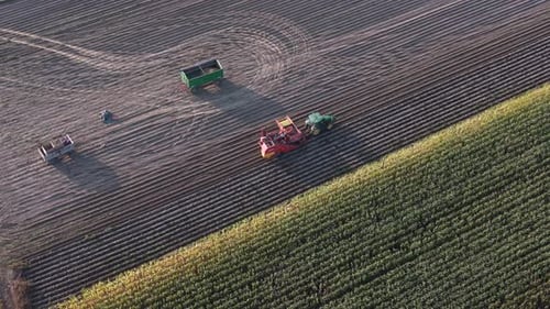 Aerial View of Tractor with Potato Harvester Machine Collecting Crops in Farmland