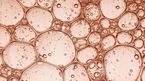 Bubble Cluster Cells Under a Microscope Transparent Cosmetic Gel Fluid with Molecule Bubbles Oil