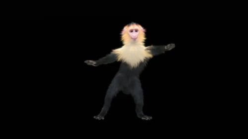 42 Monkey Dance HD