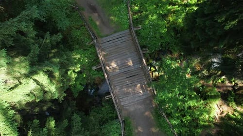 Cyclists Ride Over Wooden Bridge