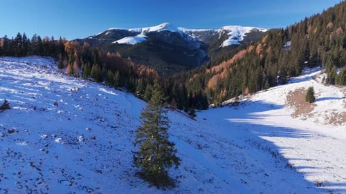 Aerial View of Snow-Covered Mountain Landscape With Pine Forests in Winter