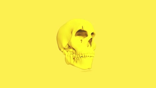 Modern Yellow Skull 3D Rotation