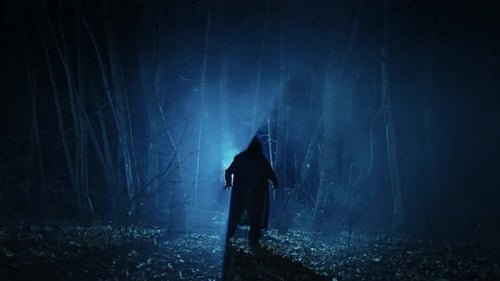 A Lonely and Frightening Figure of a Witcher in a Dark Forest at Night A Man in a Dark Robe with a