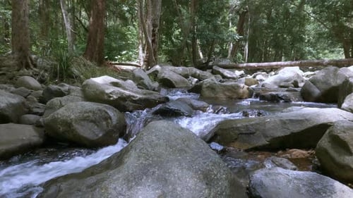 Wunderschöner Wald, Flusslauf, Natur, Bach, Bäume, frischer Bach, Wasser, Bach, der zwischen Felsen fließt, 4