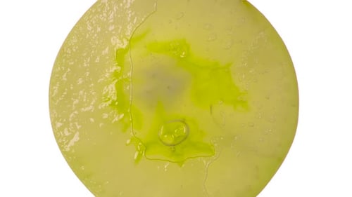 Crushing Green Grape Berries In 5 Stories