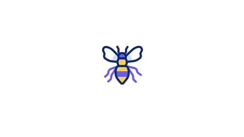 Bee Animated Icon