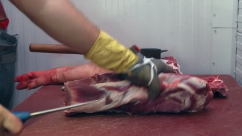 Meat Processing: Butcher Cuts Meat in a Chilled Room