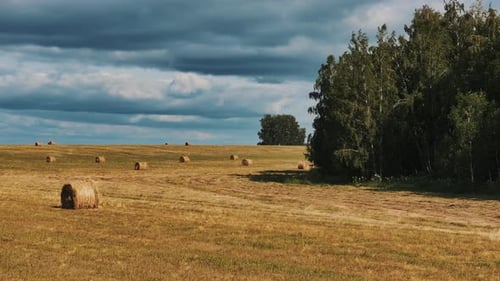 Haystacks On A Field On A Summer Day