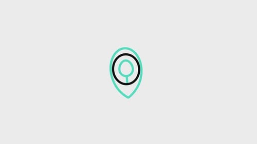 Pin Animated Icon V3