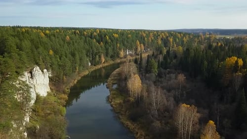 Breathtaking and Serene Aerial View of a Beautiful River and Lush Forest in Autumn Stock Clip