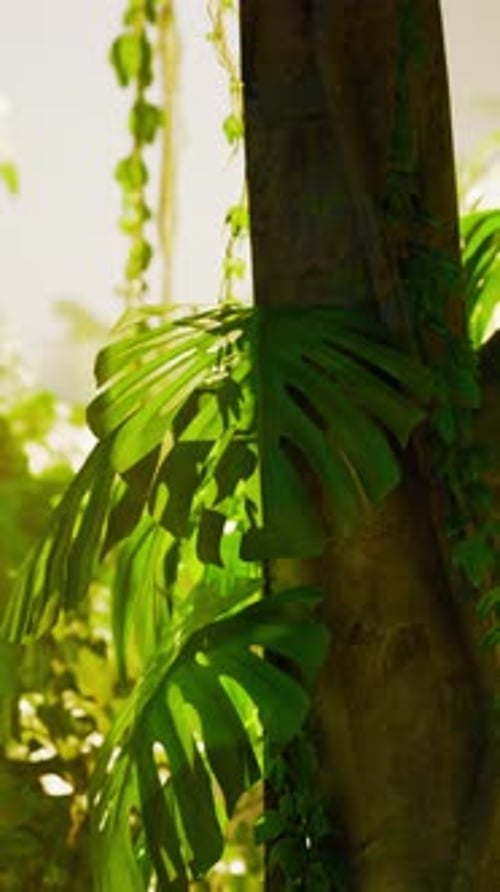Lush Green Tree Branches With Abundant Leaves