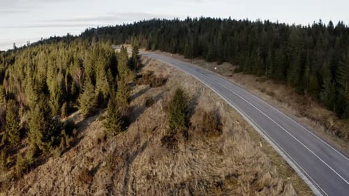 Serene Aerial View of High Mountain Road Amidst Evergreen Forest