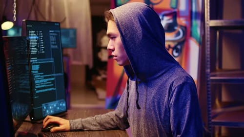 Lone Wolf Hacker Hiding Online Activity