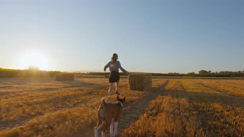 Woman and Dog in Sunset Light on Cinematic Field