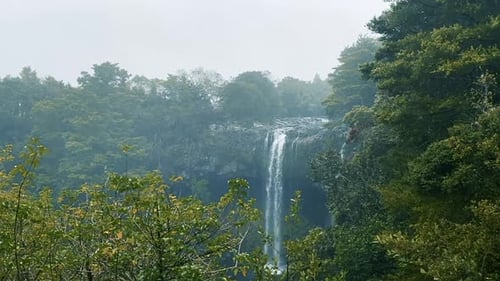 Still shot of a waterfall in a forest in New Zealand.
