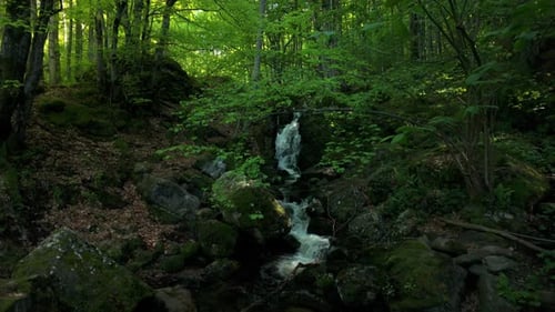 Small river waterfall