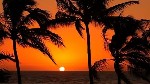 Landscape at Golden Hour