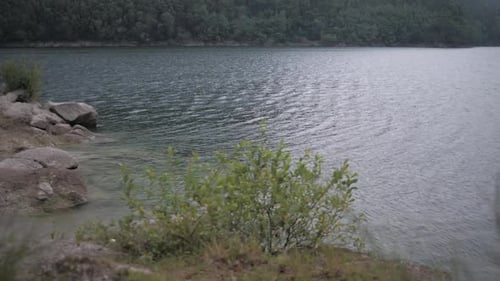Wasserwellen treffen auf das Ufer mit einem Baum im Vordergrund, mit Geräusch