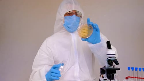 Examine Bacteria in Petri Dishes in the Laboratory Selective Focus