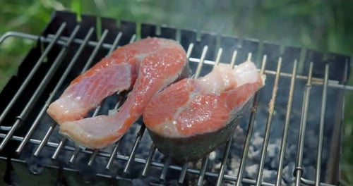 Salmon Steaks Grilled on a Charcoal Grill