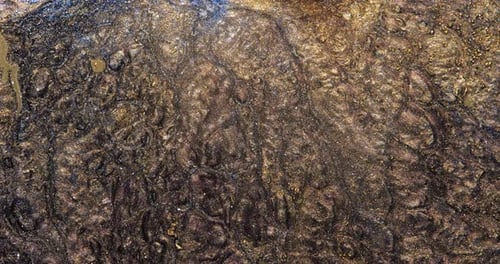 Sparkling Gold Movable Deep Cellular Marble Transparent Multilayered Background