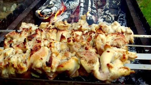 Grilled chicken skewers cooking over charcoal grill
