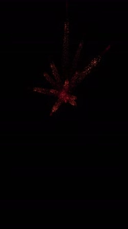 Aerial Sparks Explosion (36)
