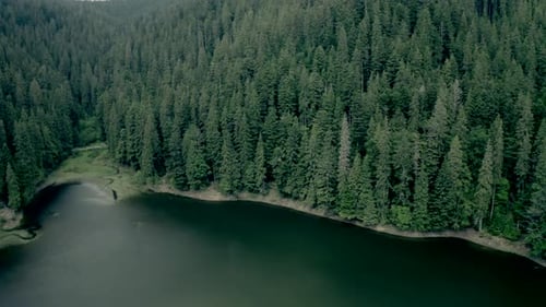 Carpathian Mountains with Synevir Lake