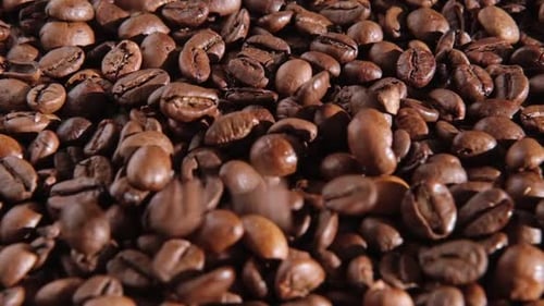 Coffee Beans Background Texture of Coffee Beans Close Up Dark Brown Roasted Coffee is Spinning