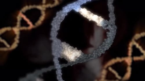 Abstract 3D DNA Helix Rotation Science Background