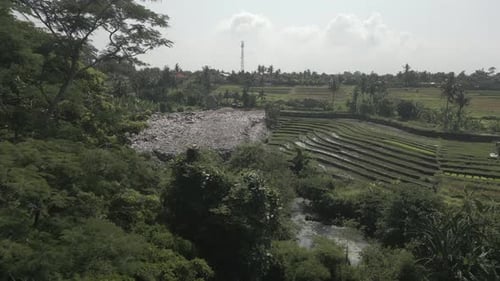 Overflowing garbage dump pollution beside river and food agriculture