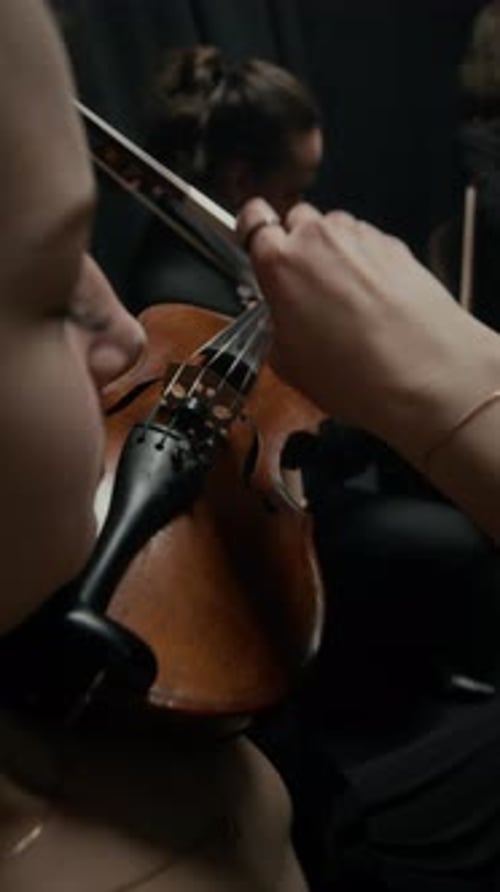 Music Trio Playing String Instruments on Stage