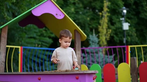 Young Boy Plays in Sandbox at Park