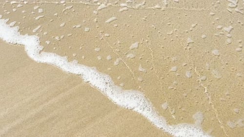 Shallow Water on Atlantic Ocean Beach Yellow Sand and Transparent Sea or Ocean Water with Small Lazy