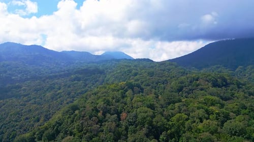 Aerial View on Forest Nature and Green Wood Trees in Landscape of Mountain Hills