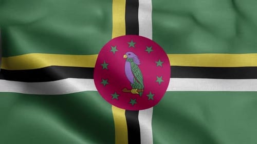 Seamless Loop Waving Dominica National Flag