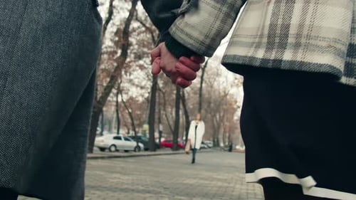 Holding Hands Couple Walking In The Park