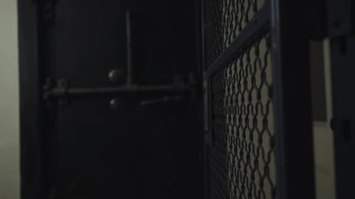 View of a metal railing door before the Vintage black metal chest in a room.