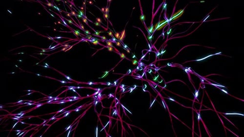 Neuronal and synapse activity animation